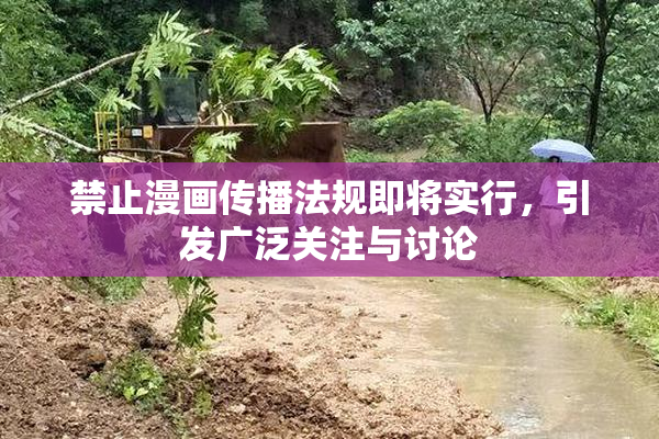 禁止漫画传播法规即将实行，引发广泛关注与讨论