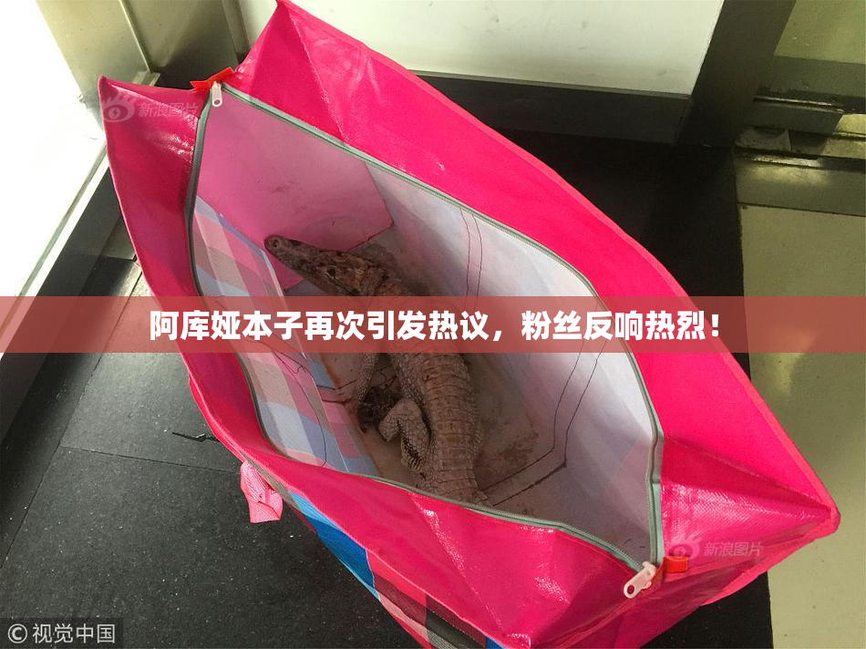阿库娅本子再次引发热议，粉丝反响热烈！