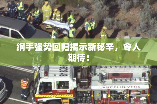 纲手强势回归揭示新秘辛，令人期待！