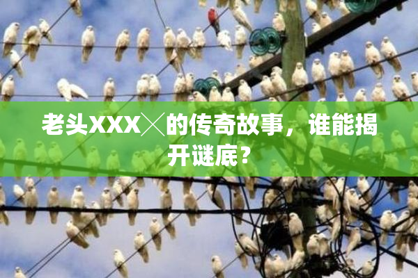 老头XXX╳的传奇故事，谁能揭开谜底？