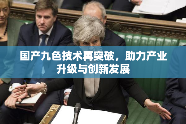 国产九色技术再突破，助力产业升级与创新发展