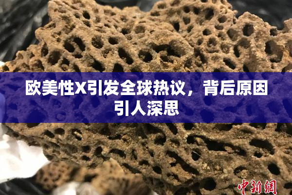 欧美性X引发全球热议，背后原因引人深思