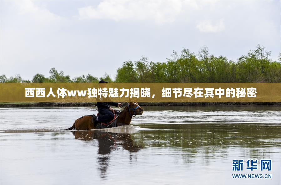 西西人体ww独特魅力揭晓，细节尽在其中的秘密