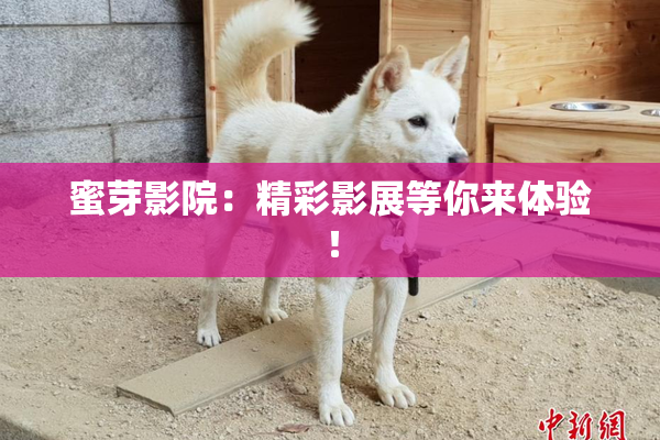 蜜芽影院：精彩影展等你来体验！