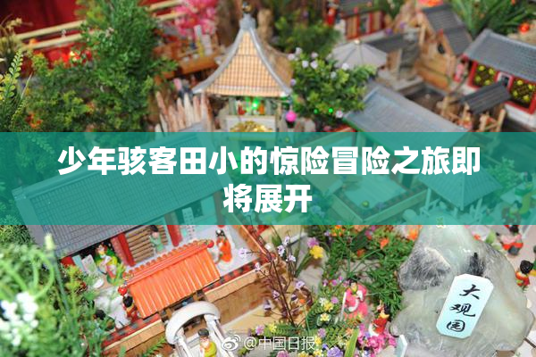 少年骇客田小的惊险冒险之旅即将展开