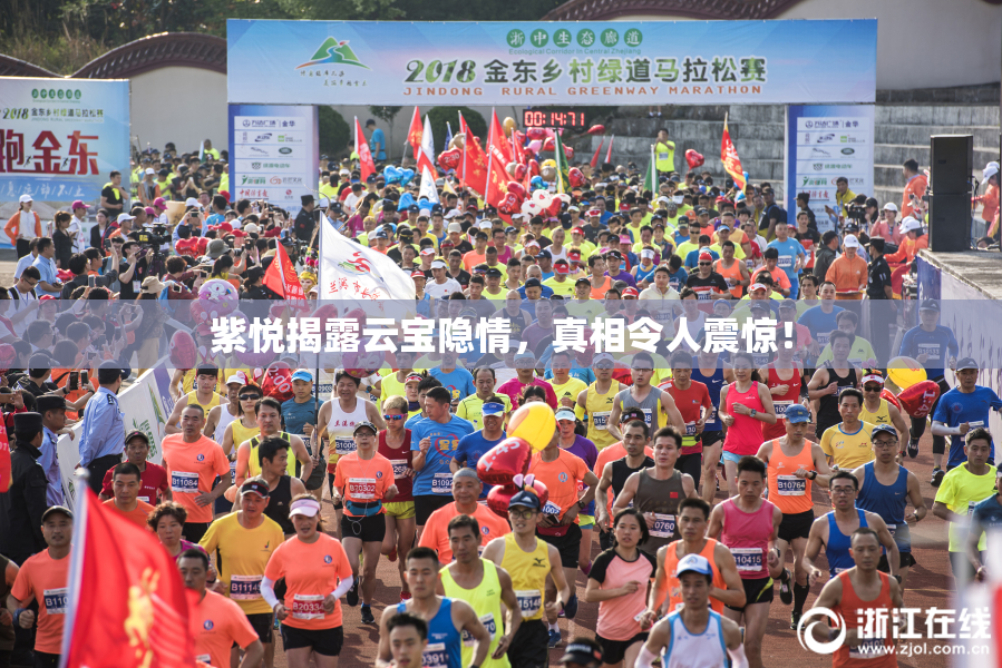 紫悦揭露云宝隐情，真相令人震惊！