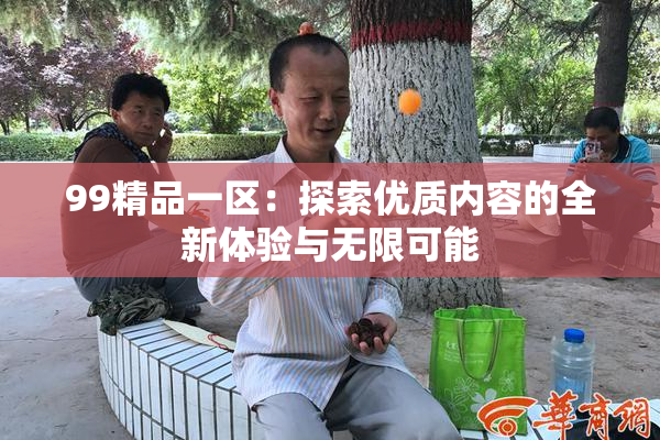 99精品一区：探索优质内容的全新体验与无限可能