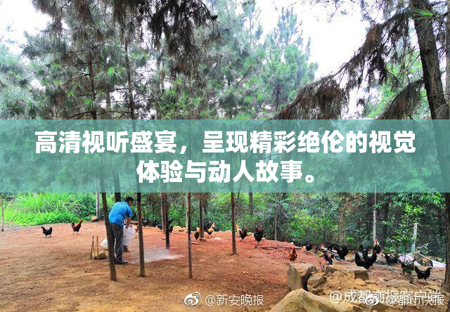 高清视听盛宴，呈现精彩绝伦的视觉体验与动人故事。