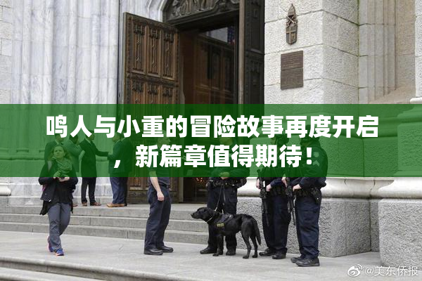 鸣人与小重的冒险故事再度开启，新篇章值得期待！