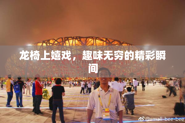 龙椅上嬉戏，趣味无穷的精彩瞬间