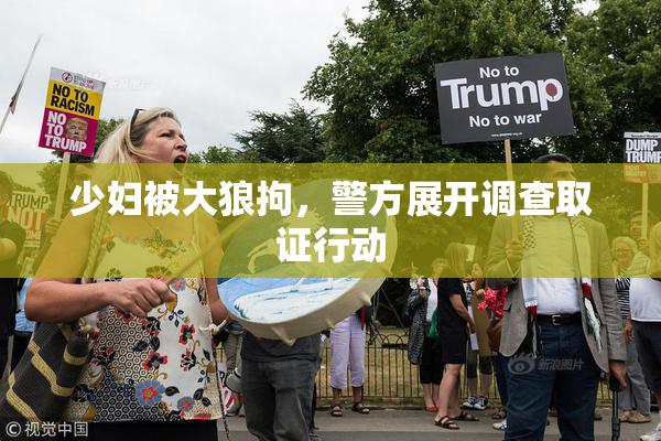 少妇被大狼拘，警方展开调查取证行动