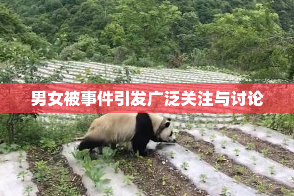 男女被事件引发广泛关注与讨论