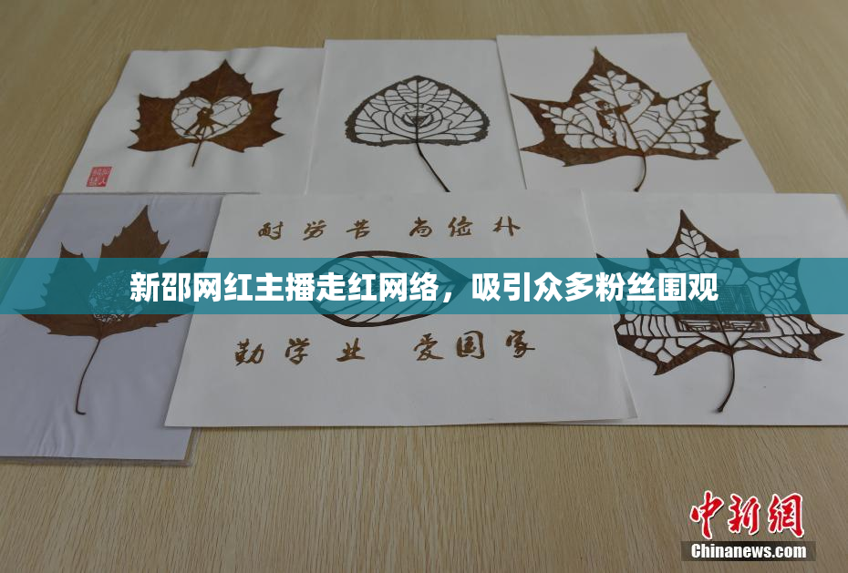 新邵网红主播走红网络，吸引众多粉丝围观