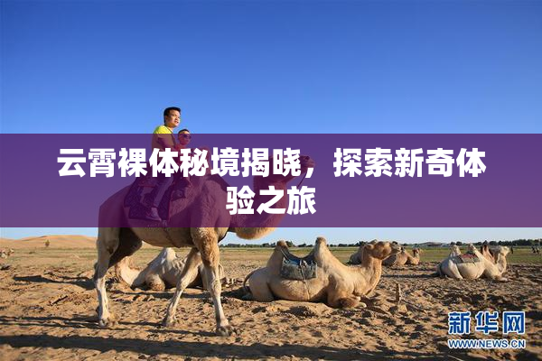 云霄裸体秘境揭晓，探索新奇体验之旅