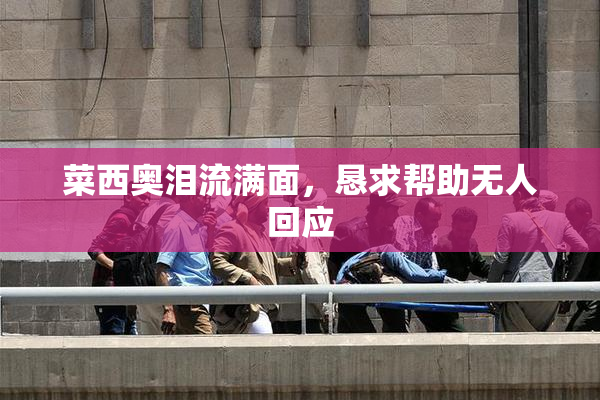 菜西奥泪流满面，恳求帮助无人回应