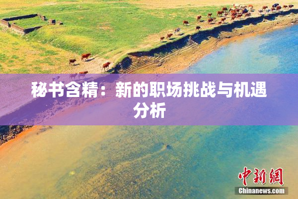 秘书含精：新的职场挑战与机遇分析