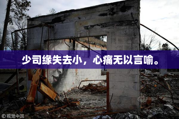 少司缘失去小，心痛无以言喻。