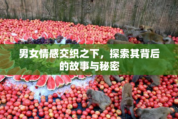 男女情感交织之下，探索其背后的故事与秘密