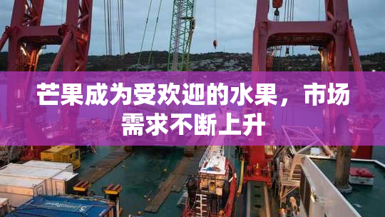 芒果成为受欢迎的水果，市场需求不断上升