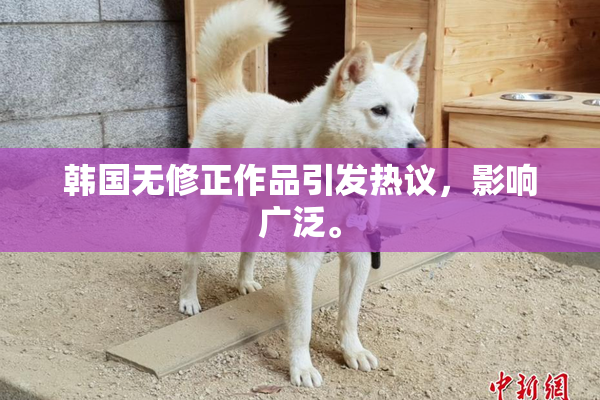 韩国无修正作品引发热议，影响广泛。