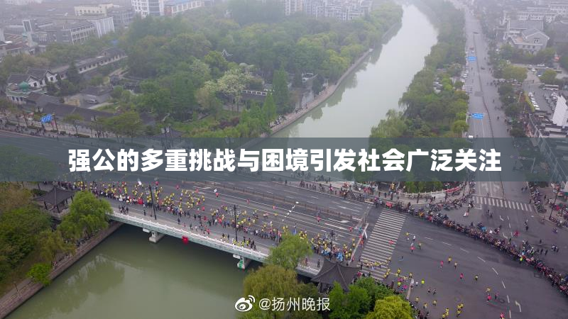 强公的多重挑战与困境引发社会广泛关注