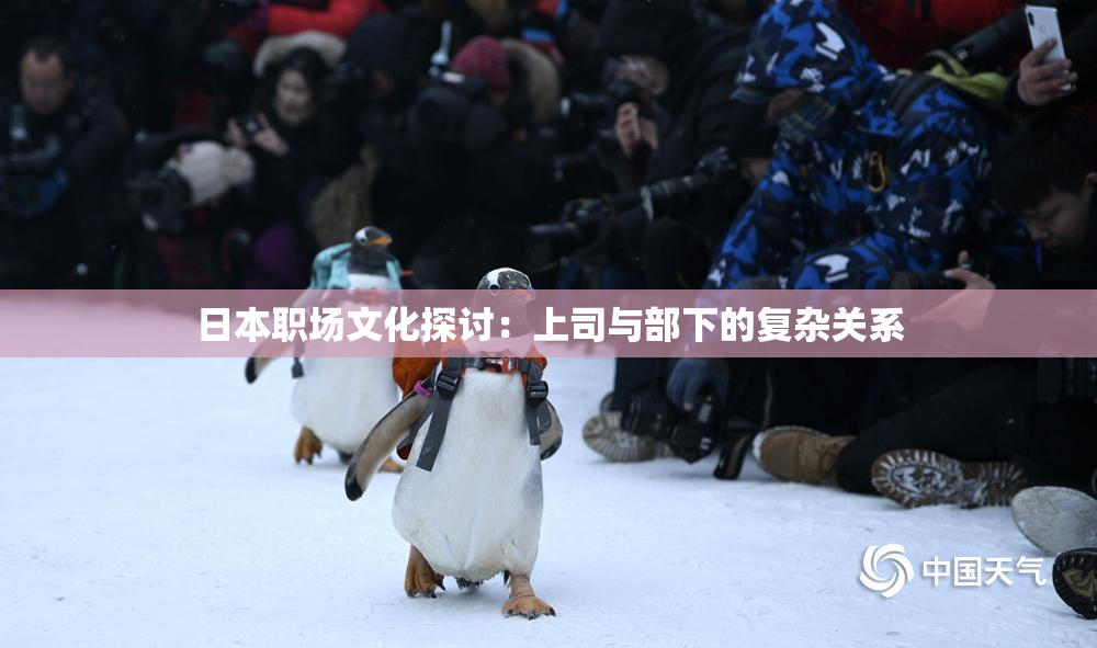 日本职场文化探讨：上司与部下的复杂关系