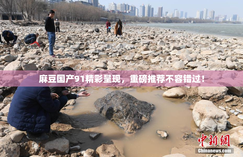 麻豆国产91精彩呈现，重磅推荐不容错过！