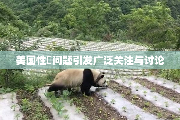 美国性婬问题引发广泛关注与讨论