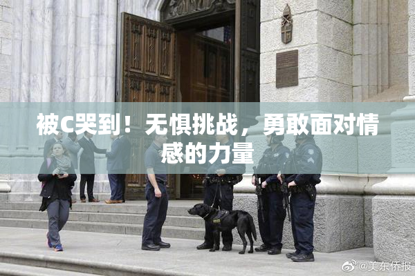 被C哭到！无惧挑战，勇敢面对情感的力量