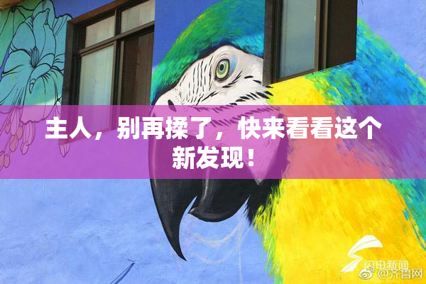 主人，别再揉了，快来看看这个新发现！