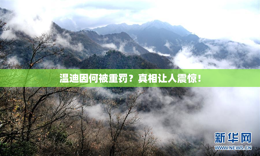 温迪因何被重罚？真相让人震惊！