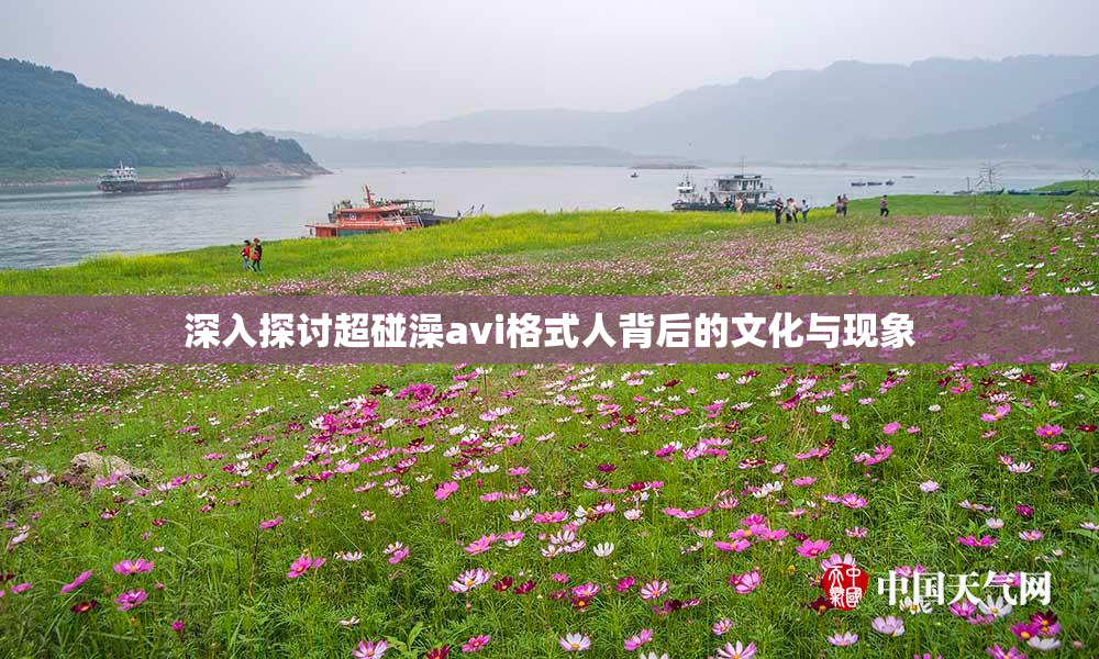 深入探讨超碰澡avi格式人背后的文化与现象
