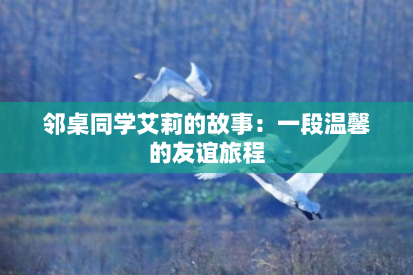 邻桌同学艾莉的故事：一段温馨的友谊旅程