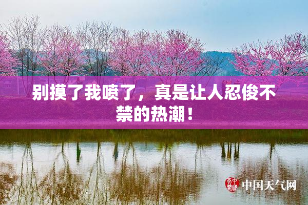 别摸了我喷了，真是让人忍俊不禁的热潮！