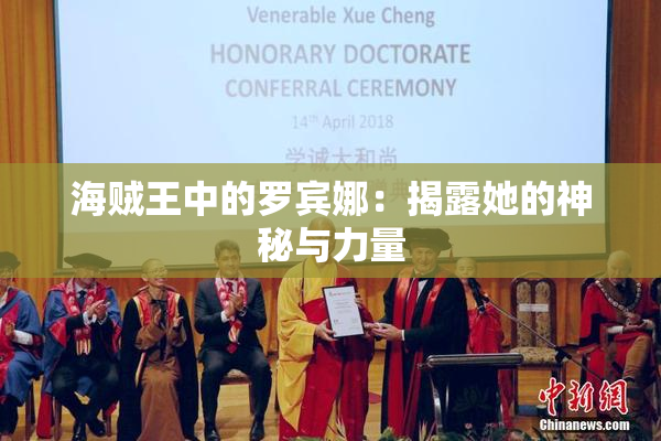 海贼王中的罗宾娜：揭露她的神秘与力量