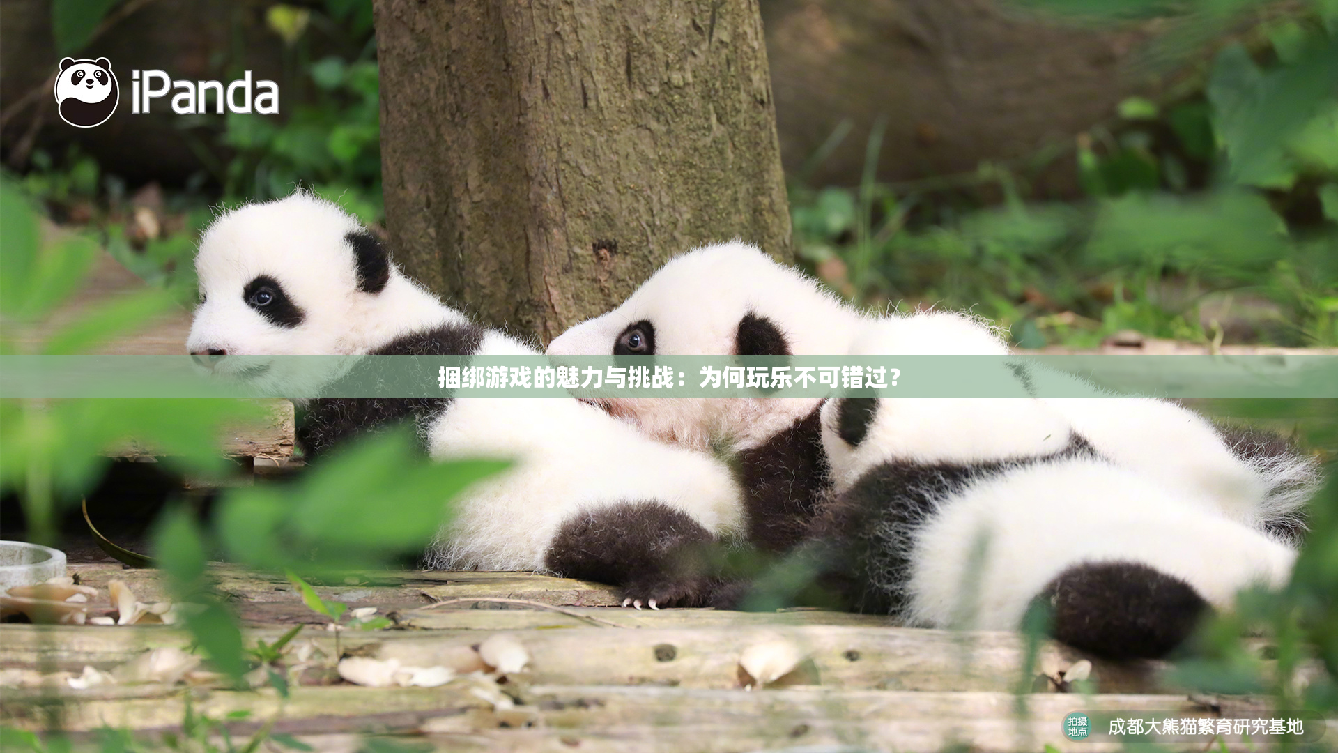 捆绑游戏的魅力与挑战：为何玩乐不可错过？