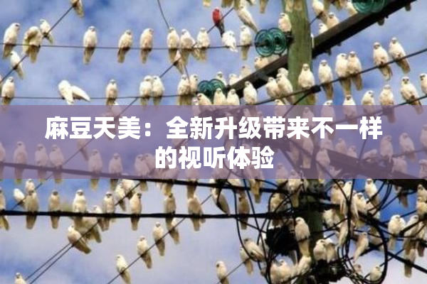 麻豆天美：全新升级带来不一样的视听体验