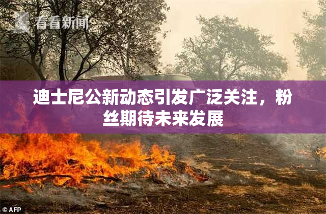 迪士尼公新动态引发广泛关注，粉丝期待未来发展