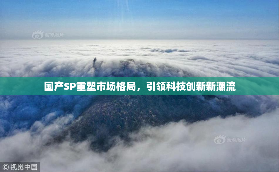 国产SP重塑市场格局，引领科技创新新潮流