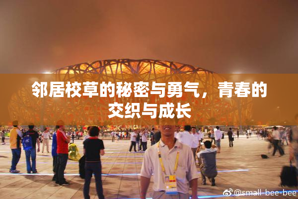 邻居校草的秘密与勇气，青春的交织与成长