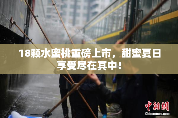 18颗水蜜桃重磅上市，甜蜜夏日享受尽在其中！