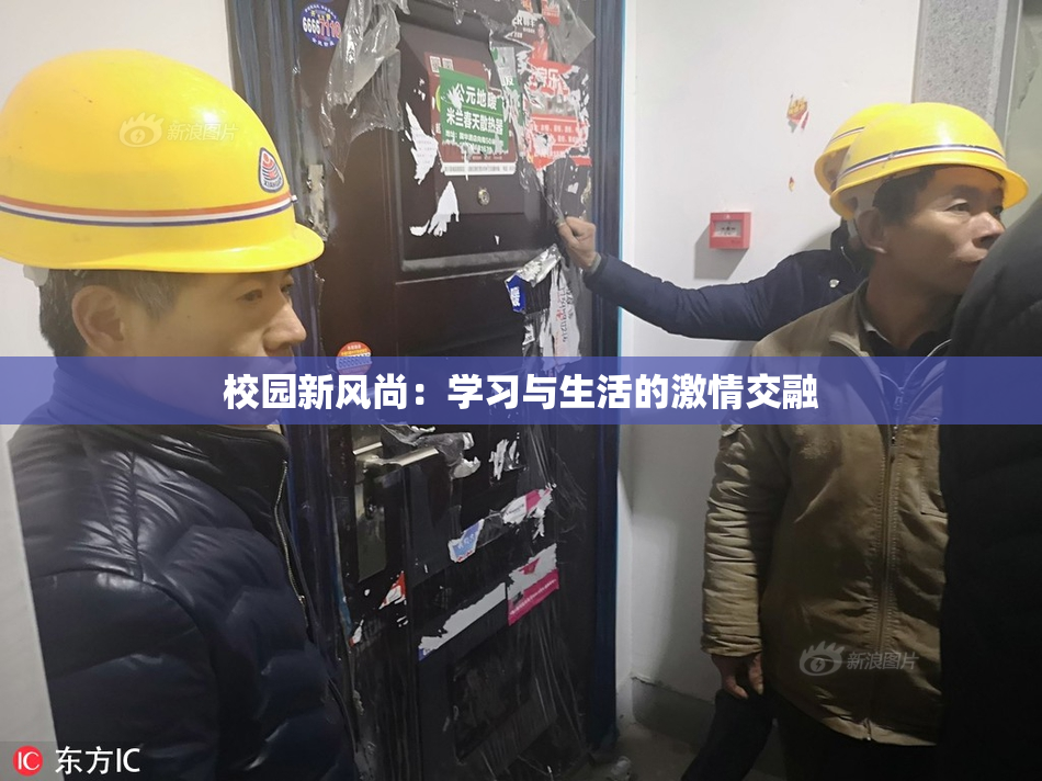 校园新风尚：学习与生活的激情交融