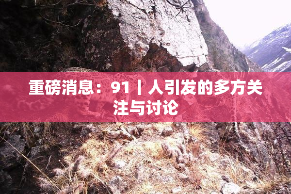 重磅消息：91丨人引发的多方关注与讨论