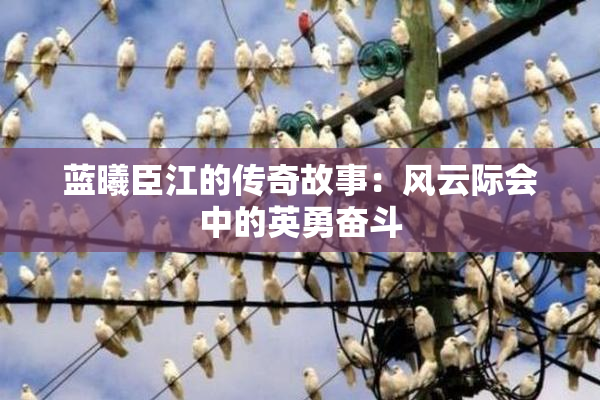 蓝曦臣江的传奇故事：风云际会中的英勇奋斗