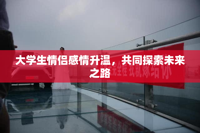 大学生情侣感情升温，共同探索未来之路