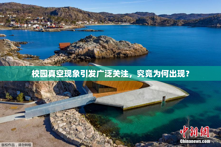 校园真空现象引发广泛关注，究竟为何出现？