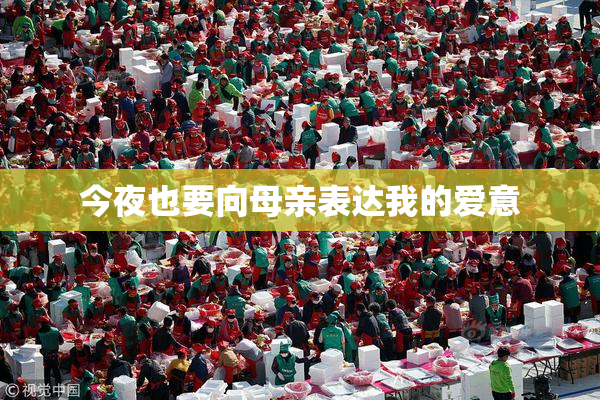 今夜也要向母亲表达我的爱意