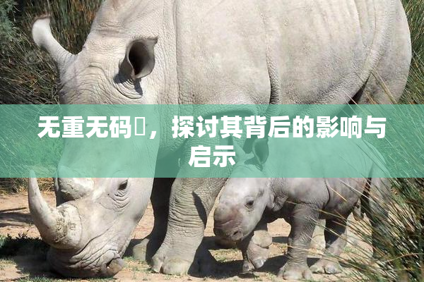 无重无码囯，探讨其背后的影响与启示