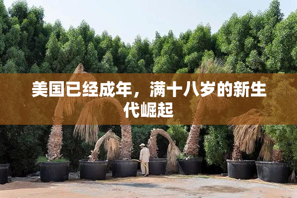 美国已经成年，满十八岁的新生代崛起