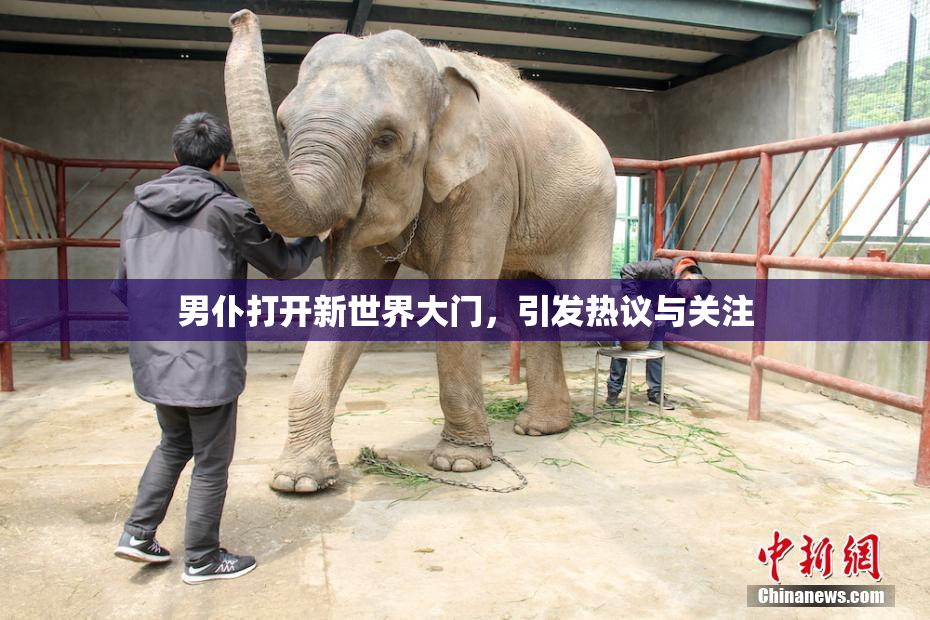 男仆打开新世界大门，引发热议与关注